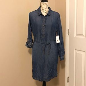 Jean Shirt Dress